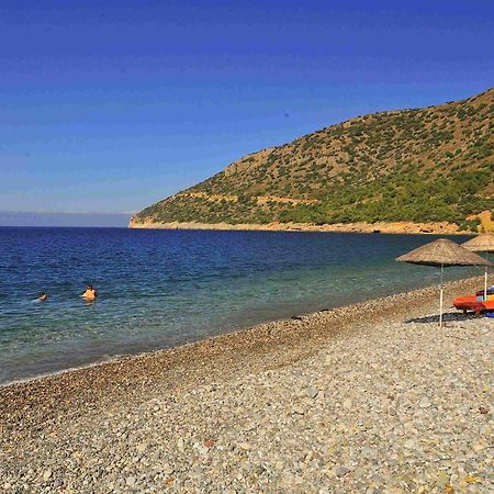 Melinda Pension & Restaurant Месудие Экстерьер фото