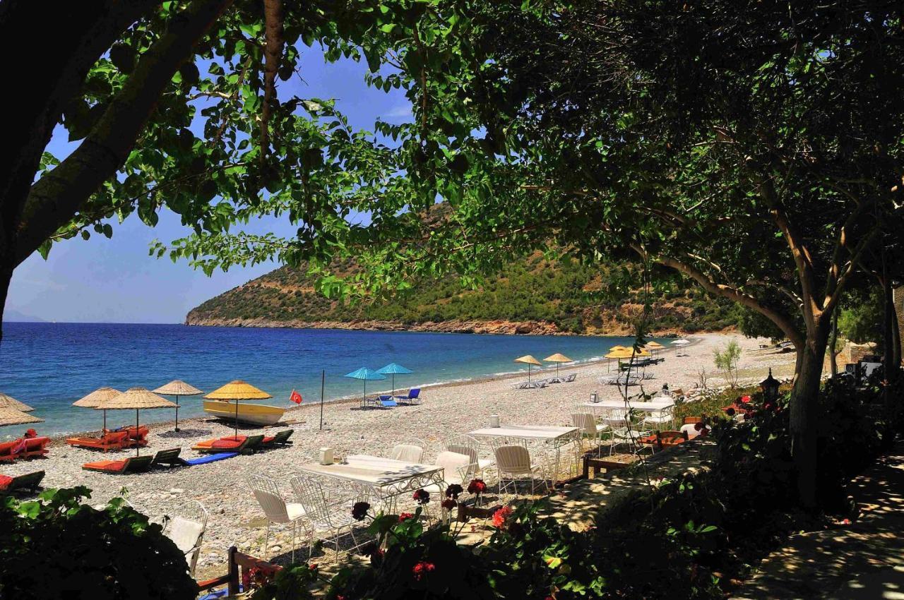 Melinda Pension & Restaurant Месудие Экстерьер фото